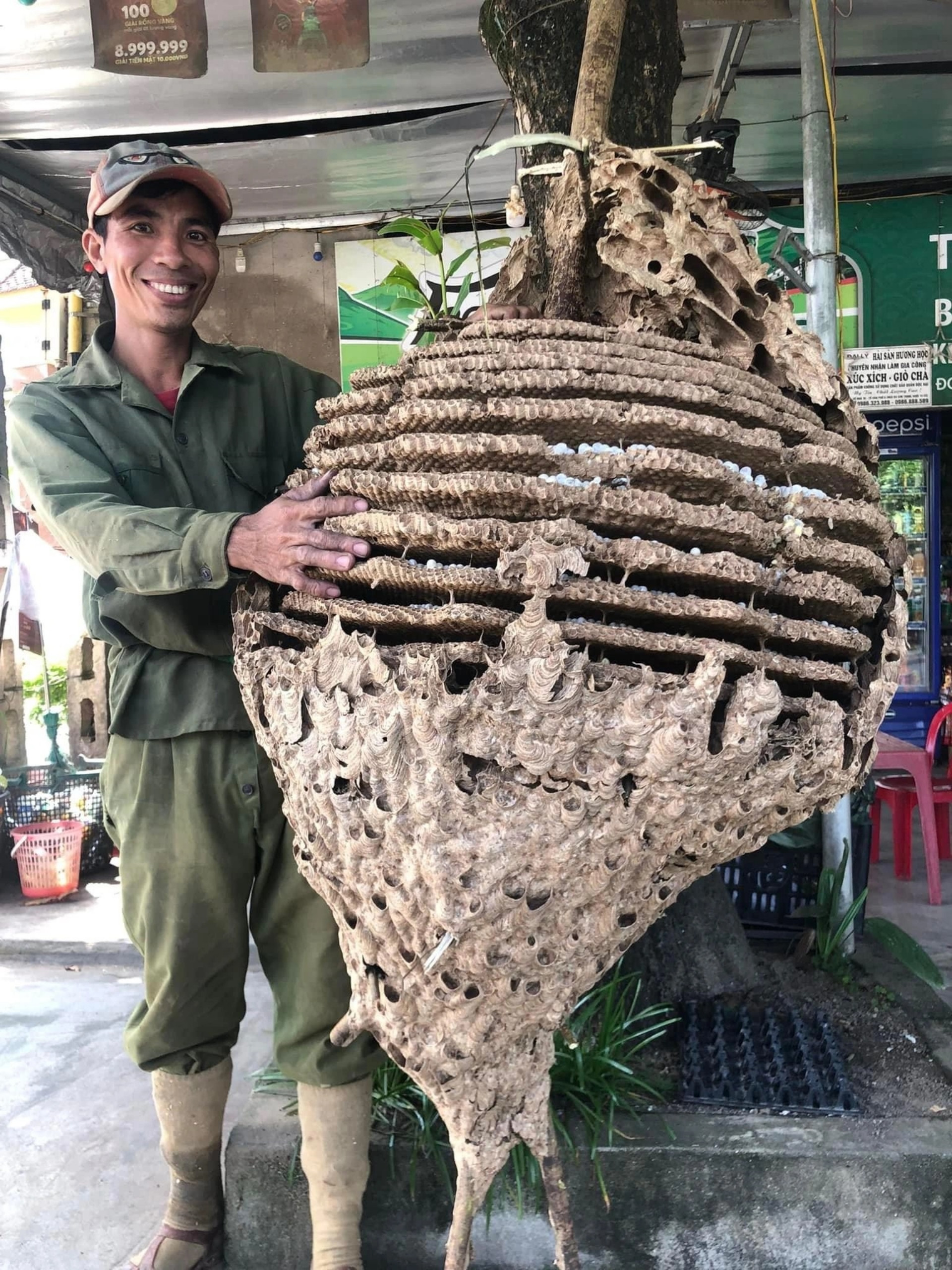 Tổ ong &quot;khủng&quot; 16 tầng, nặng 21kg vừa được &quot;thợ săn&quot; ong ở Hà Tĩnh tìm thấy ở rừng biên giới giáp Lào - Ảnh 2.