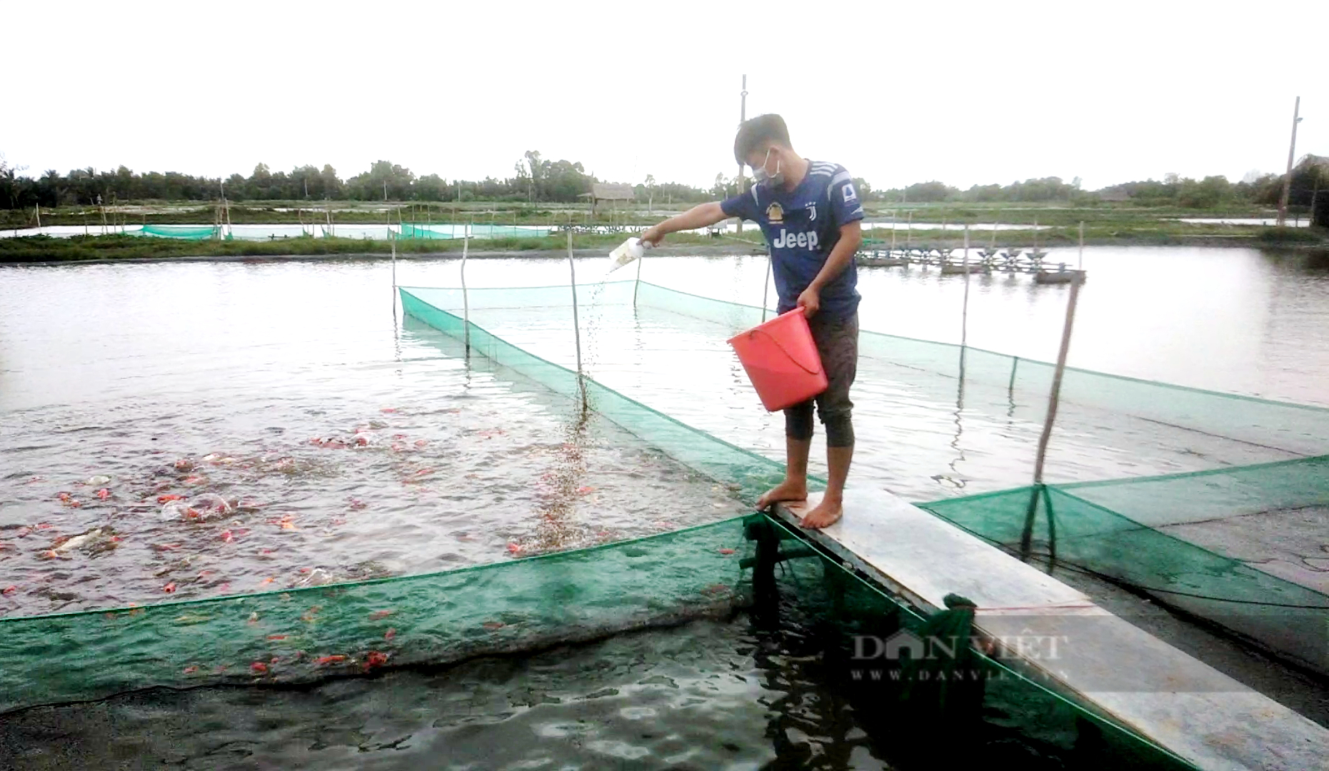 TP.HCM tập trung dạy nghề nông nghiệp có thế mạnh cho lao động nông thôn  - Ảnh 1.