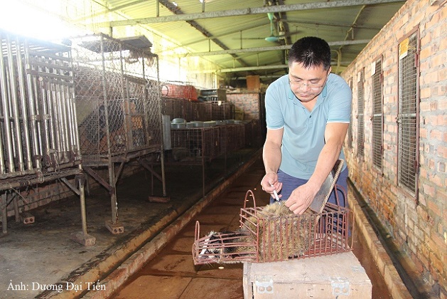 Nuôi loài thú ưa bóng tối, thích ngủ ngày, hay ăn cháo, anh nông dân Bắc Giang bất ngờ lại lãi 2 tỷ - Ảnh 5.