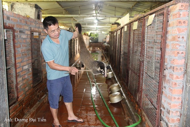 Nuôi loài thú ưa bóng tối, thích ngủ ngày, hay ăn cháo, anh nông dân Bắc Giang bất ngờ lại lãi 2 tỷ - Ảnh 6.