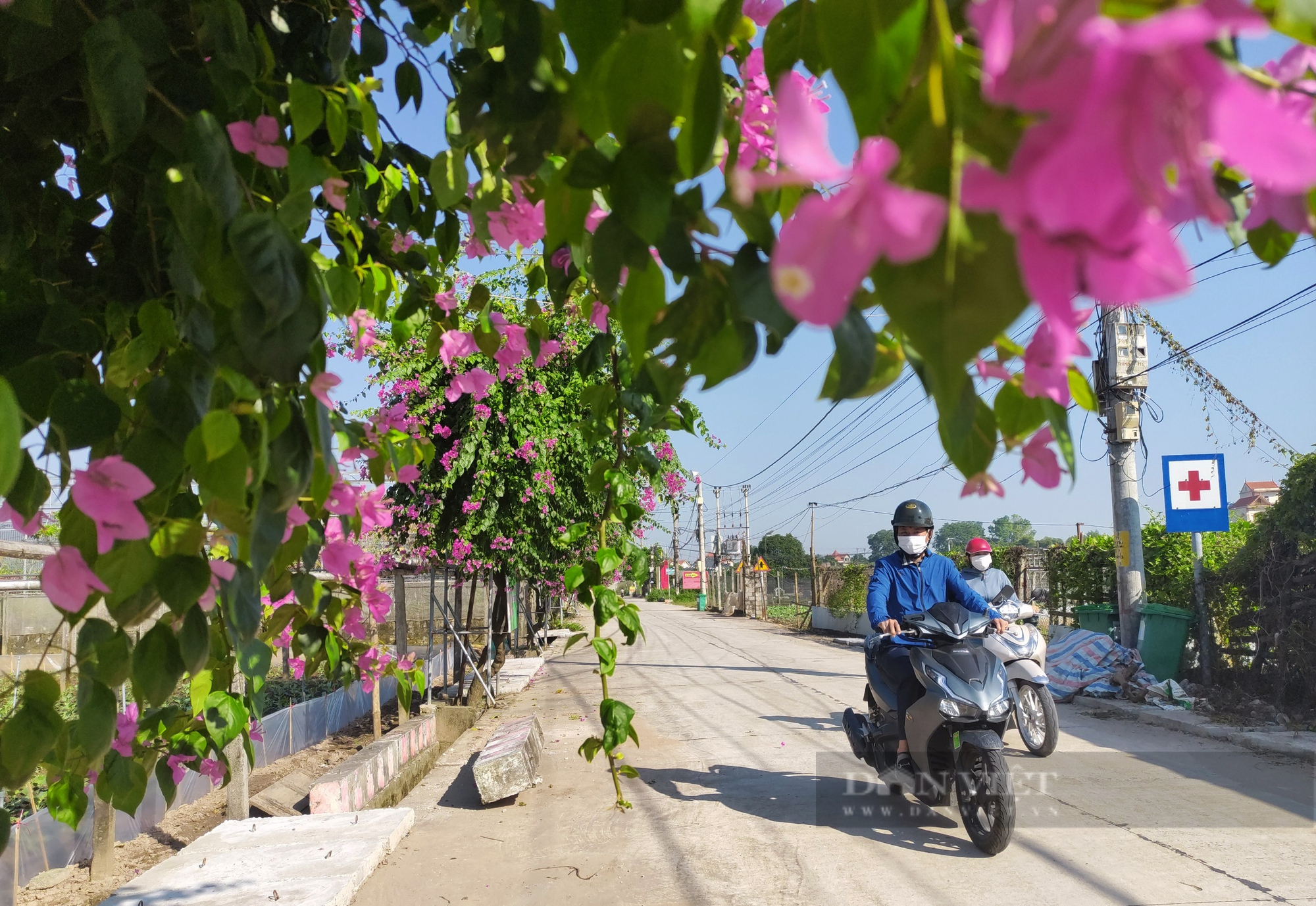 Ngôi làng đẹp như trên phim ở ngoại thành Hà Nội - Ảnh 4.