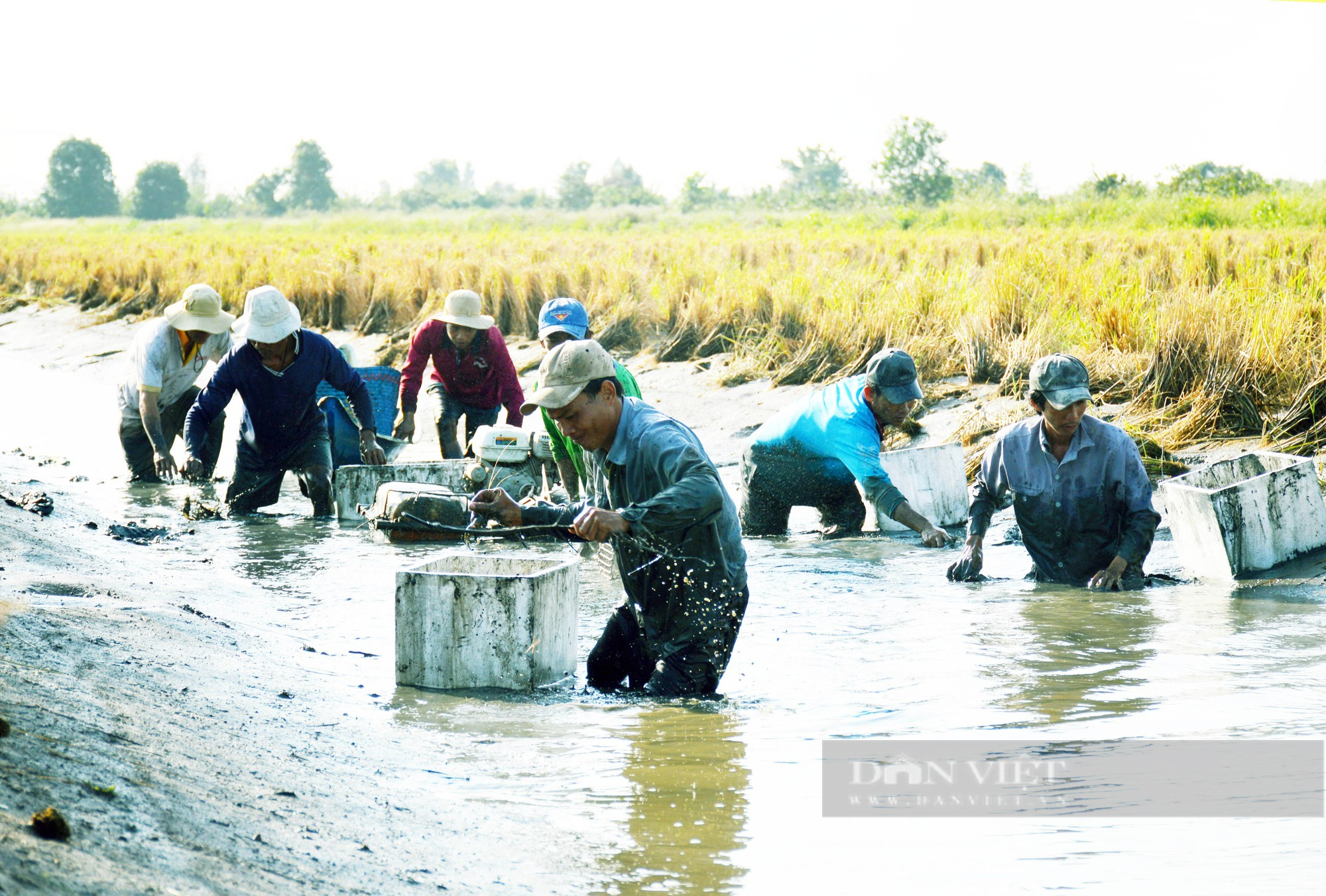 5 mô hình quán cà phê độc đáo được yêu thích nhất hiện nay