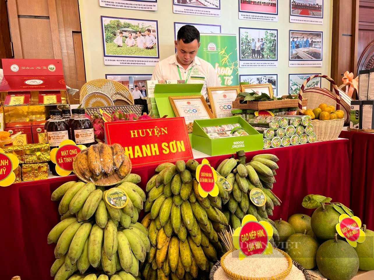 Bước chuyển lớn từ tư duy sản xuất sang tư duy kinh tế nông nghiệp của nông dân Phú Thọ - Ảnh 6.