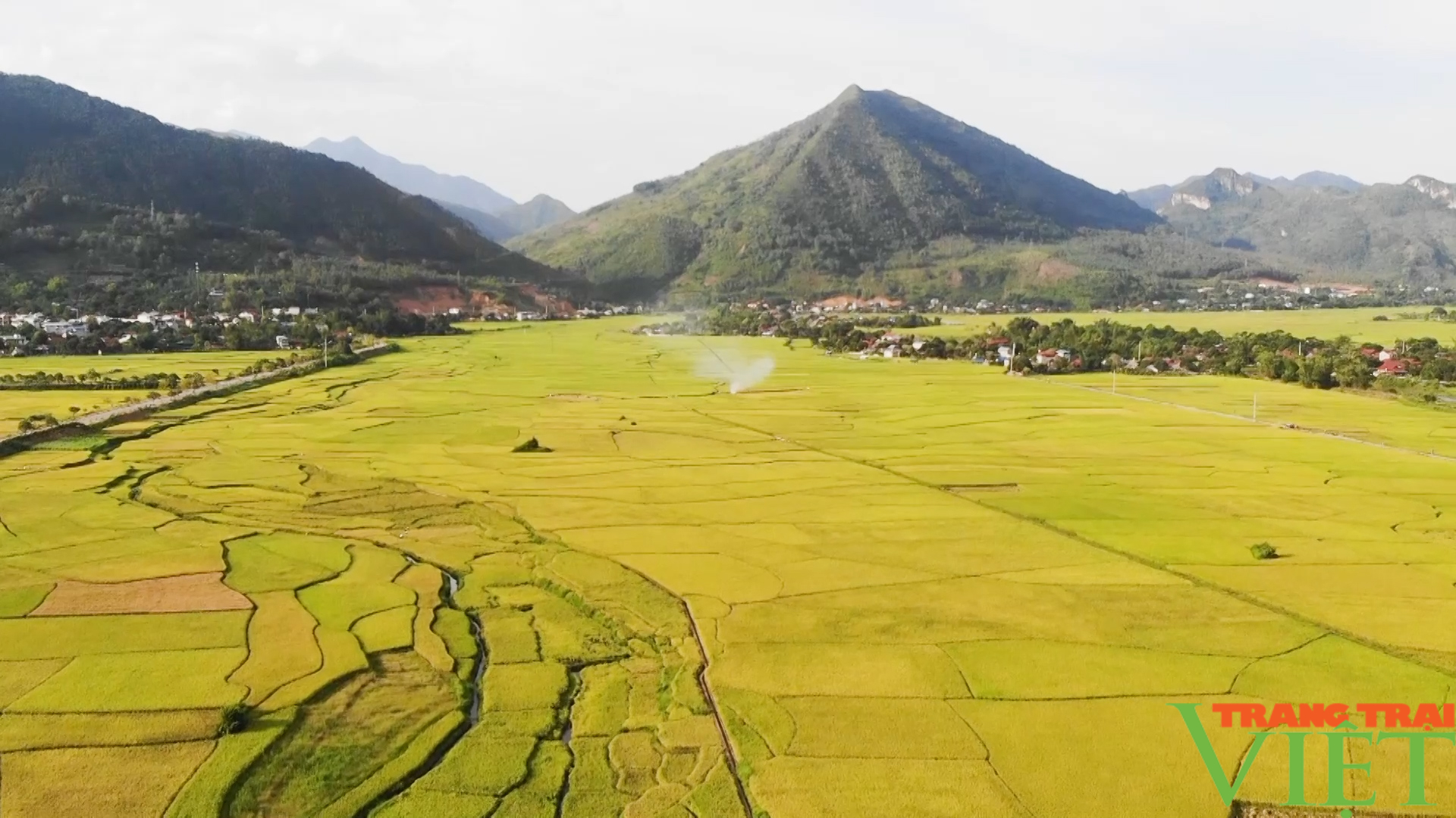 Kỷ niệm 70 năm Ngày giải phóng huyện Phù Yên - Ảnh 8.