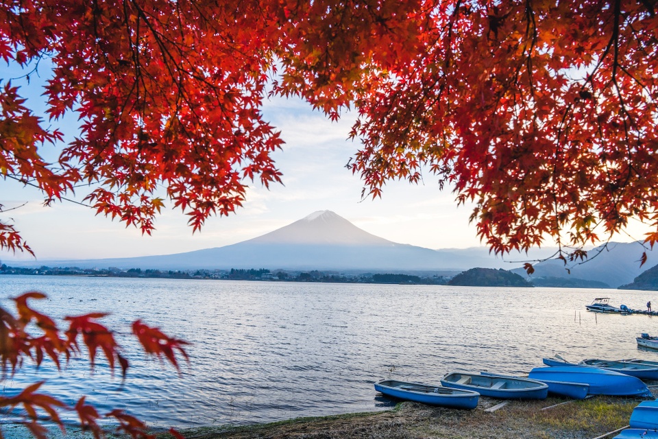 3 trải nghiệm tận hưởng mùa thu Nhật Bản - Ảnh 1.