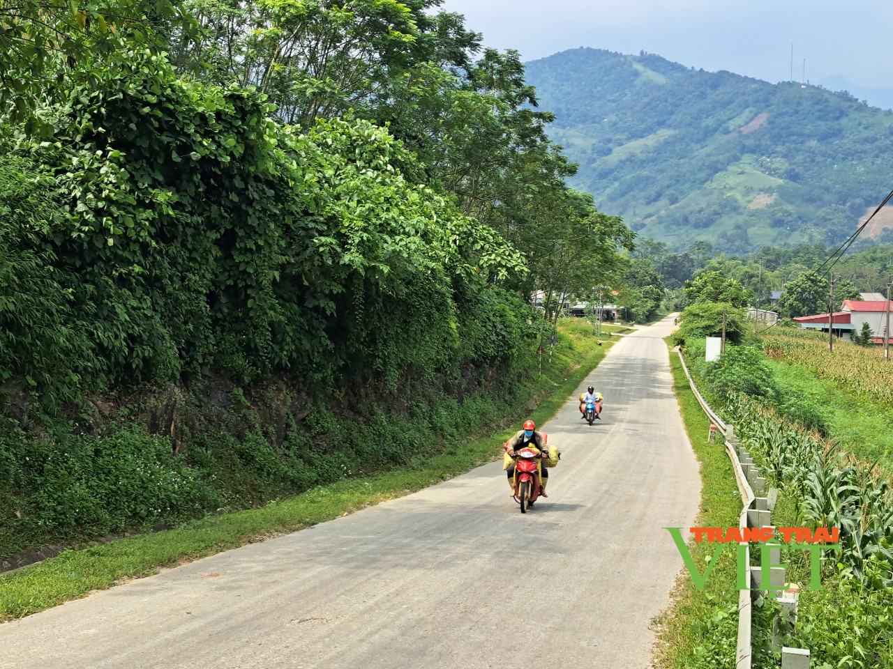 Lào Cai: Hòa Mạc vượt khó xây dựng nông thôn mới nâng cao - Ảnh 1.