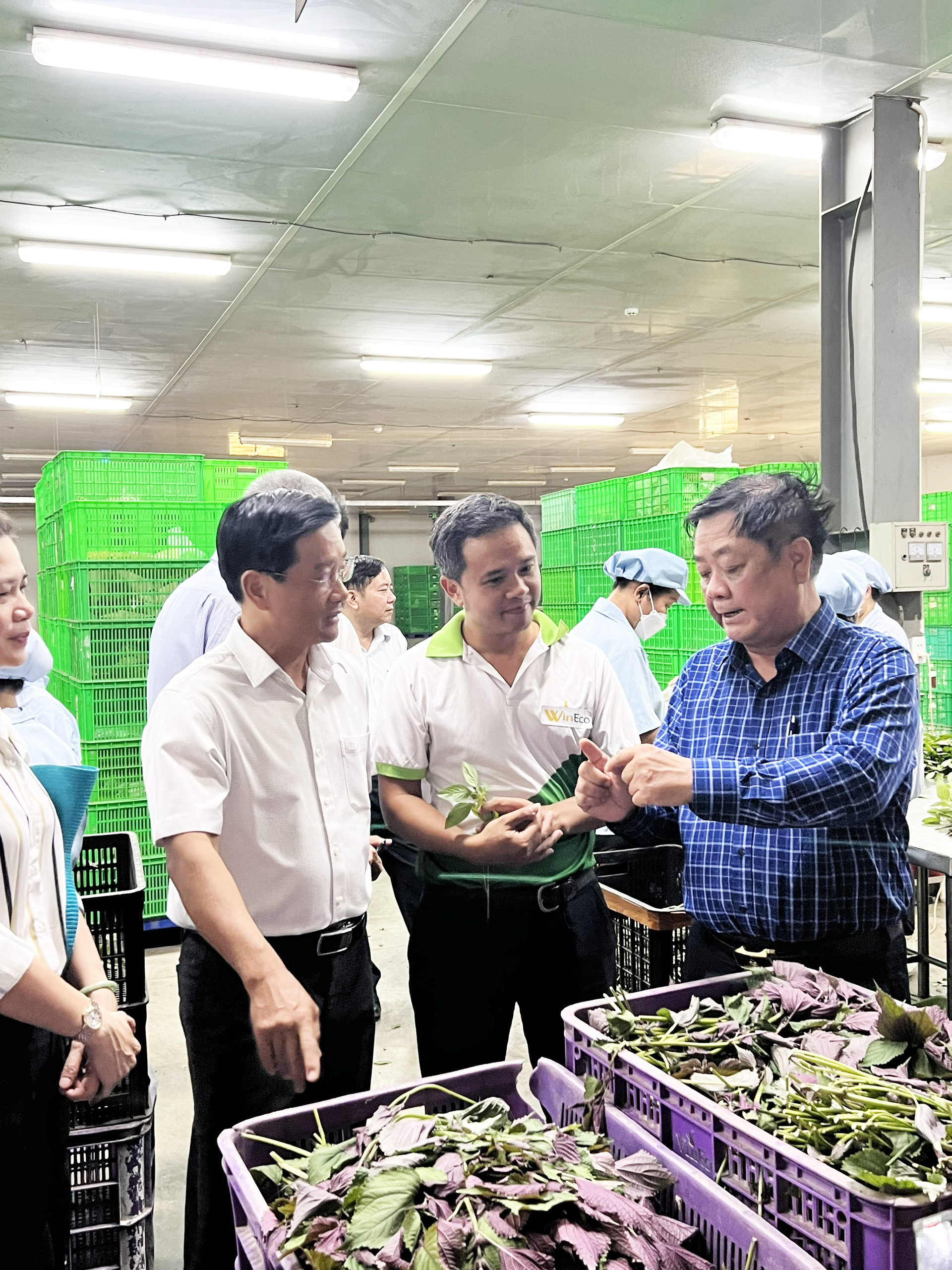Bộ trưởng Lê Minh Hoan ấn tượng với Nông trường WinEco Củ Chi  - Ảnh 3.