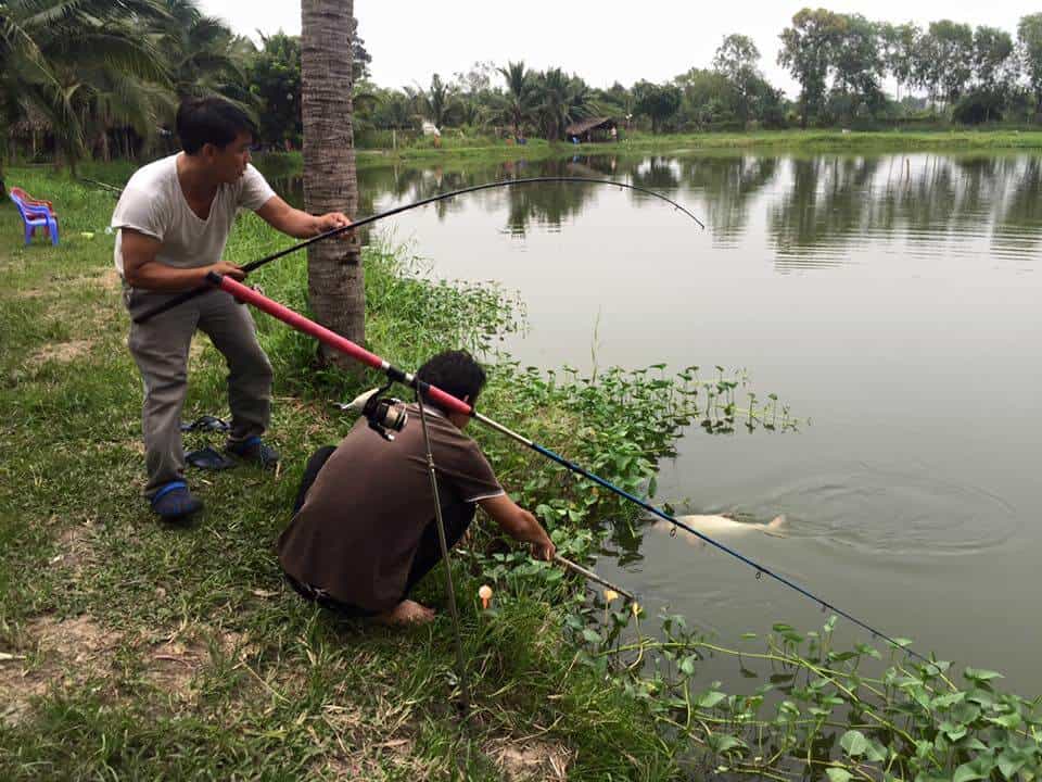 Lợi ích kép từ mô hình câu cá giải trí  Binh Phuoc Tin tuc Binh Phuoc  Tin mới tỉnh Bình Phước