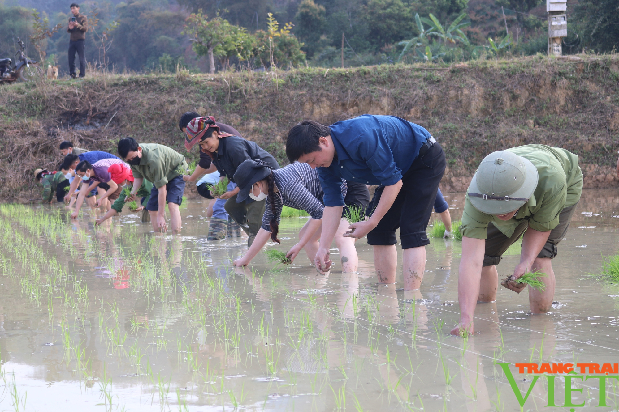 Hội Nông dân Sơn La đồng hành cùng nông dân phát triển kinh tế, làm giàu - Ảnh 1.