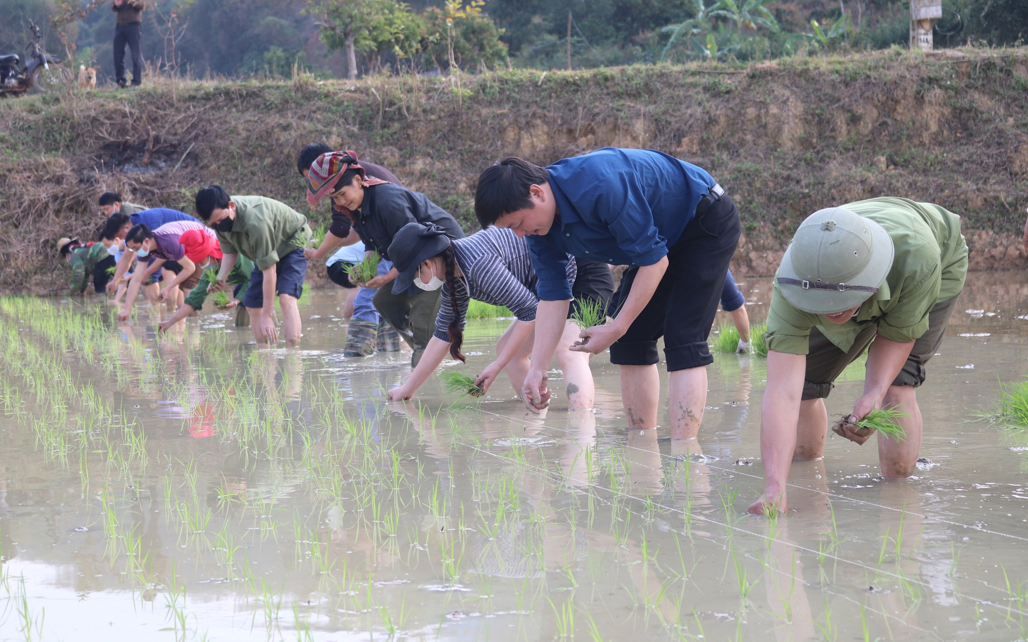 Hội Nông dân Sơn La cùng nông dân phát triển kinh tế, làm giàu