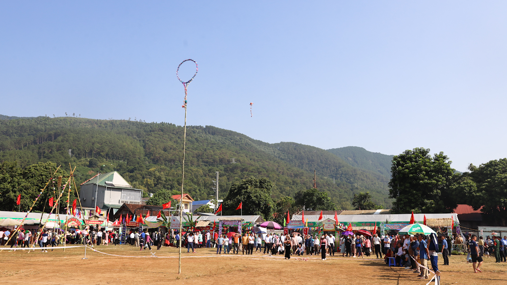 Ngày hội giới thiệu nông sản huyện Phù Yên - Ảnh 2.