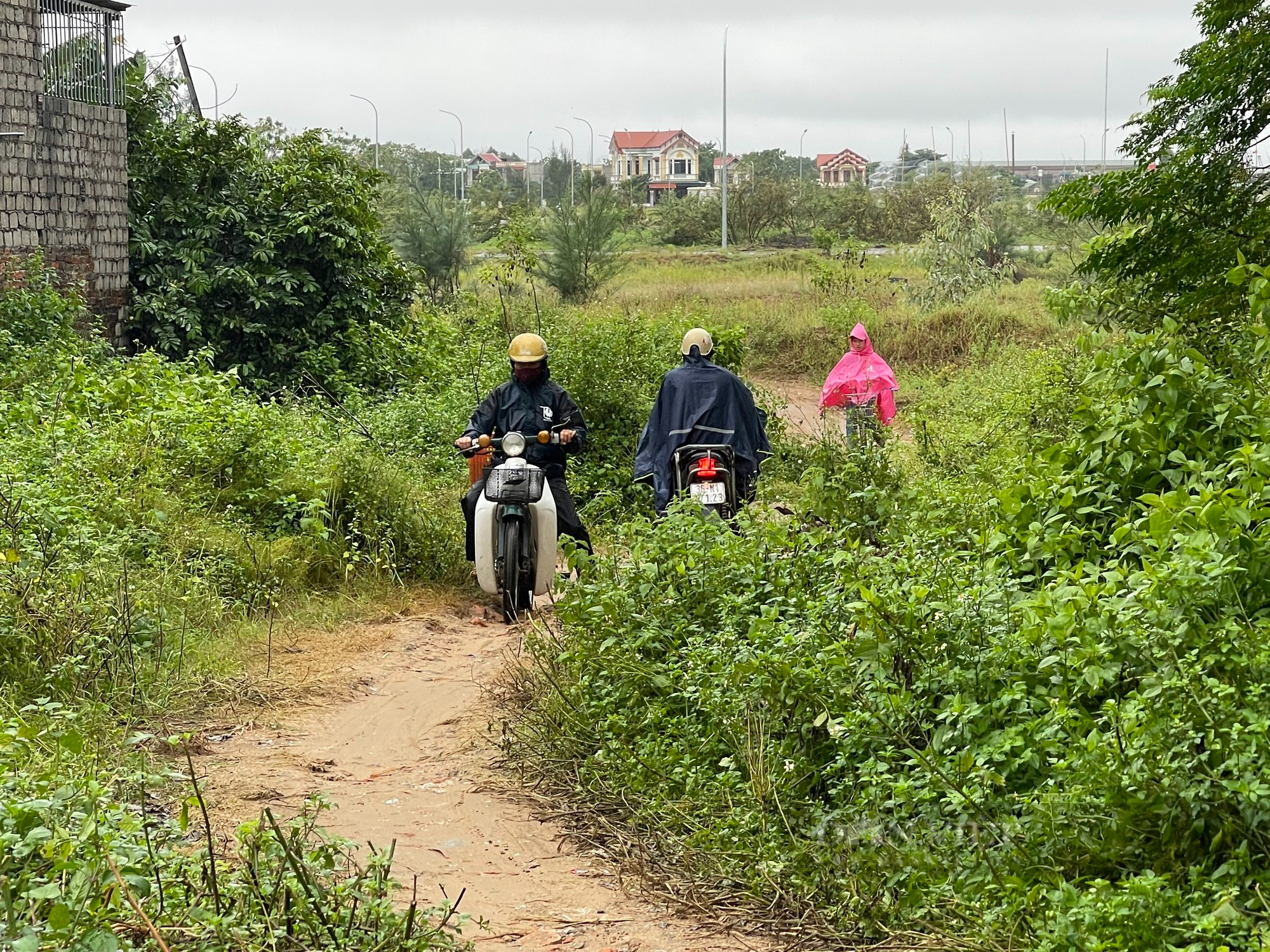 Hàng trăm hộ dân sống ở thành phố du lịch Sầm Sơn phải lội “sông” vào nhà mỗi khi trời mưa - Ảnh 6.