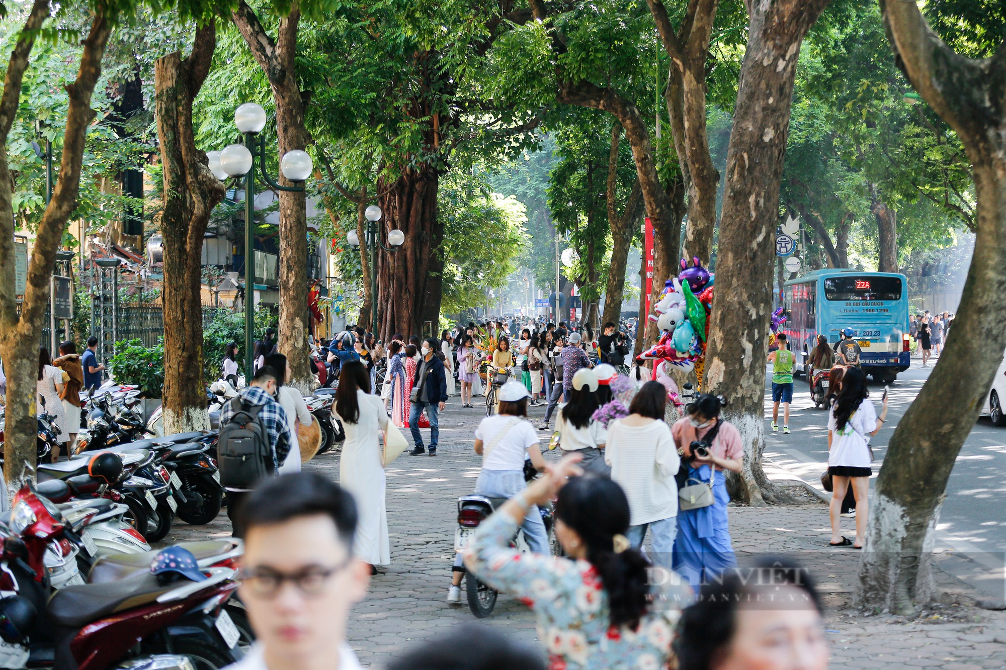 Những bức ảnh đương phố ở Hà Nội sẽ khiến bạn bị thu hút ngay lập tức! Hãy chiêm ngưỡng vẻ đẹp phức tạp của con phố cổ trầm lắng và sự phấn khích bên đường phố ồn ào và đầy sức sống. Tận hưởng những góc phố độc đáo với tấm ảnh của chúng tôi.