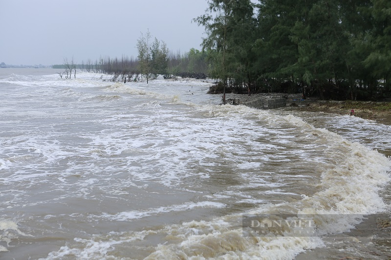 Phó Chủ tịch tỉnh Thanh Hoá Lê Đức Giang yêu cầu đảm bảo tuyệt đối cho người dân trước tình trạng biển xâm thực - Ảnh 3.