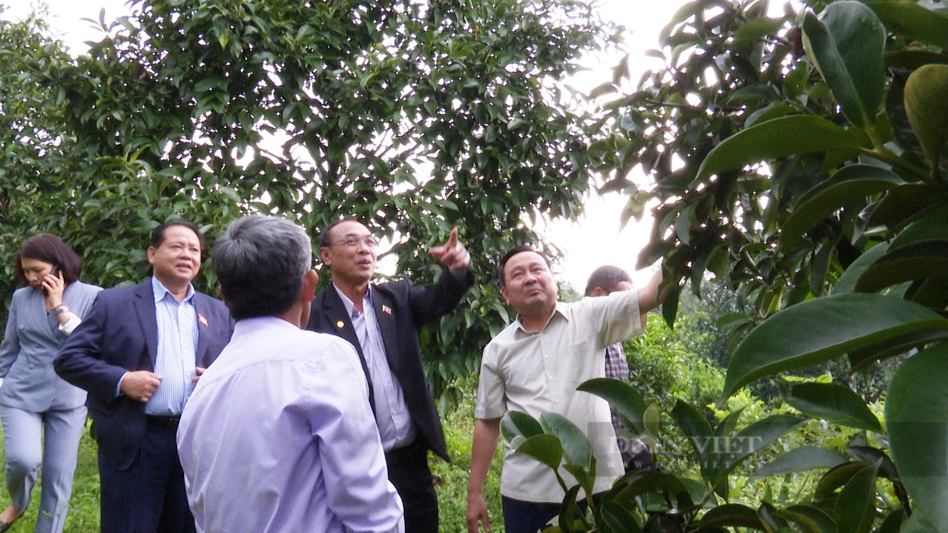 Quảng Nam: Đoàn công tác tỉnh Sê Kông thăm mô hình triệu phú của nông dân xứ Tiên - Ảnh 1.