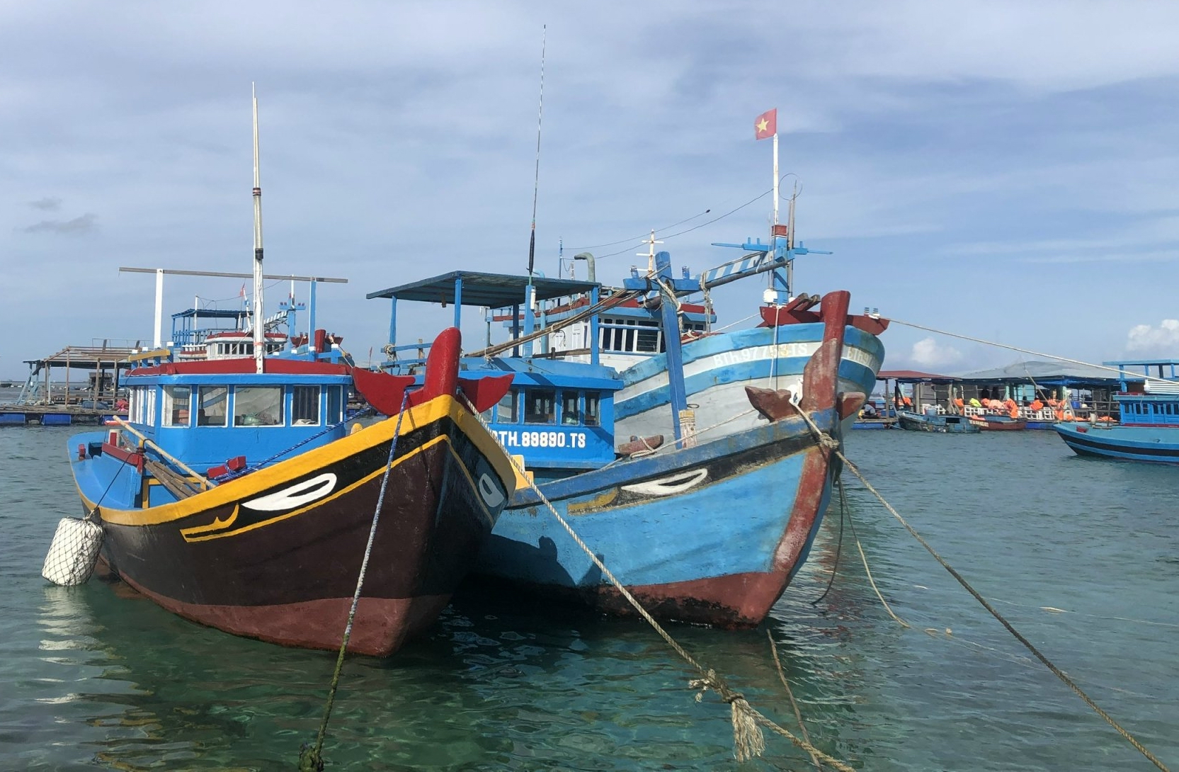 Thanh tra Ủy ban Châu Âu sẽ kiểm tra chống khai thác hải sản bất hợp pháp ở Bình Thuận - Ảnh 1.
