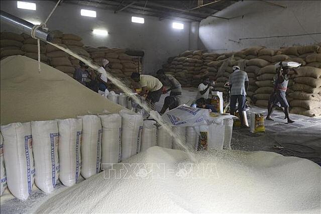 Thị trường gạo thế giới: Bấp bênh sau lệnh cấm xuất khẩu của Ấn Độ - Ảnh 1.