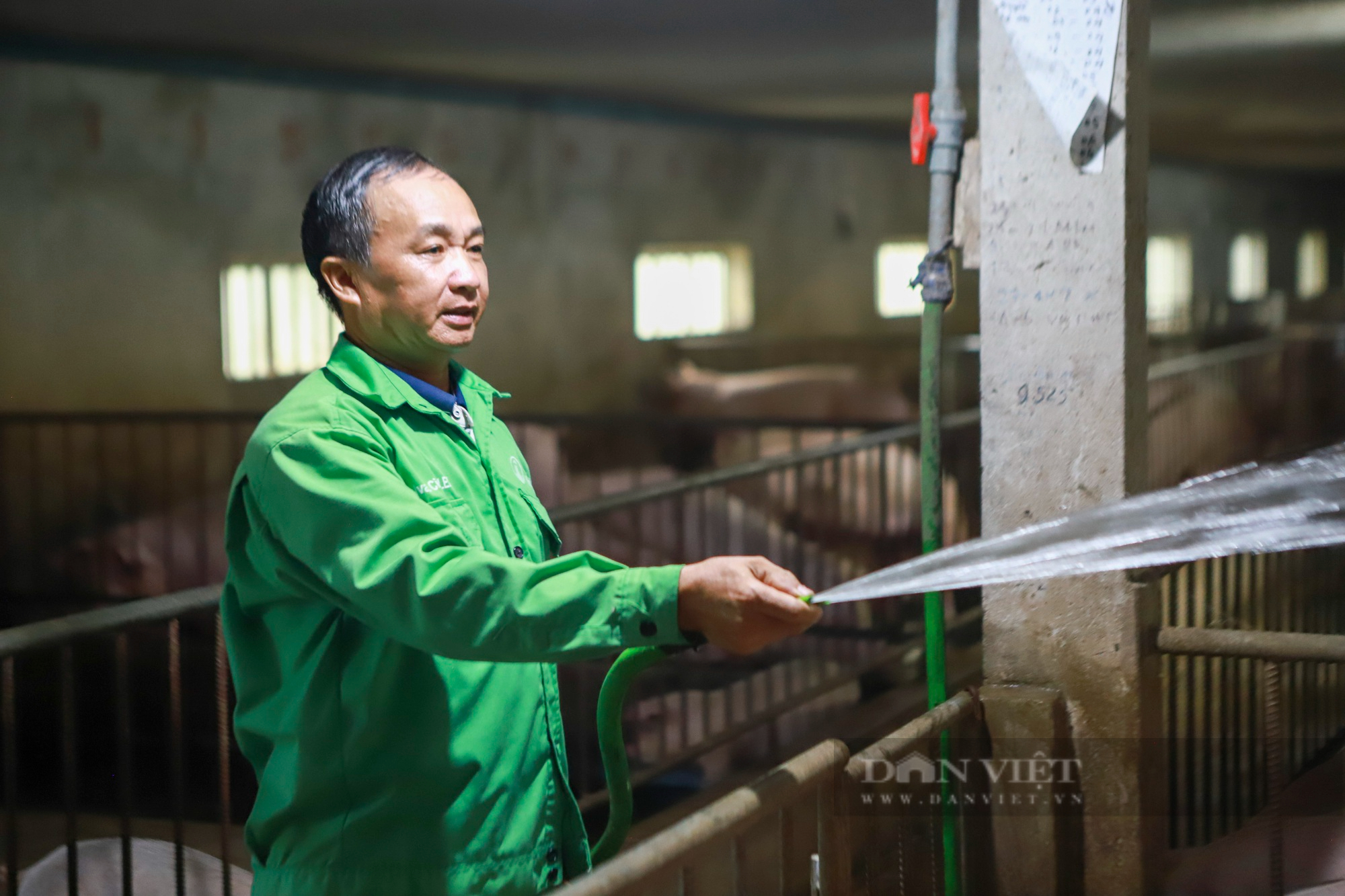 Lão nông nuôi lợn, thả cá, trồng bưởi lãi 2,5 tỷ đồng/năm đến từ tỉnh Nam Định là Nông dân Việt Nam xuất sắc 2022 - Ảnh 3.