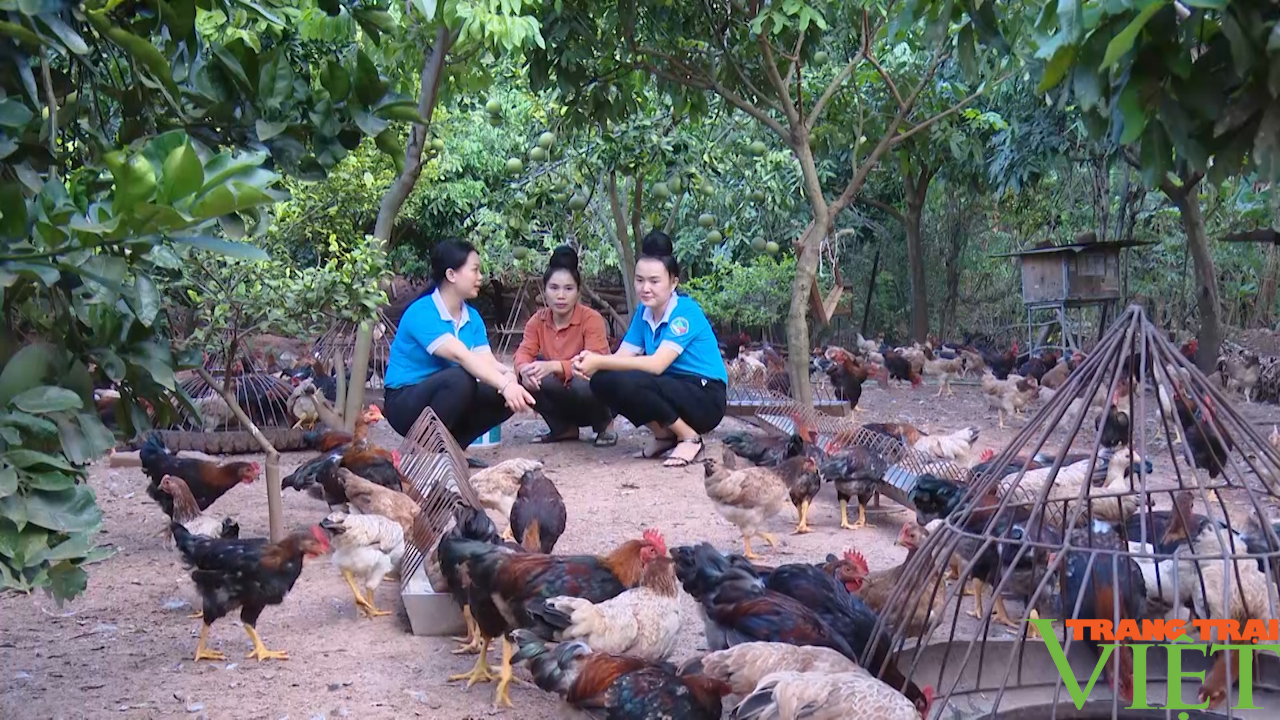 Phụ nữ Yên Châu thi đua lao động, sản xuất - Ảnh 8.