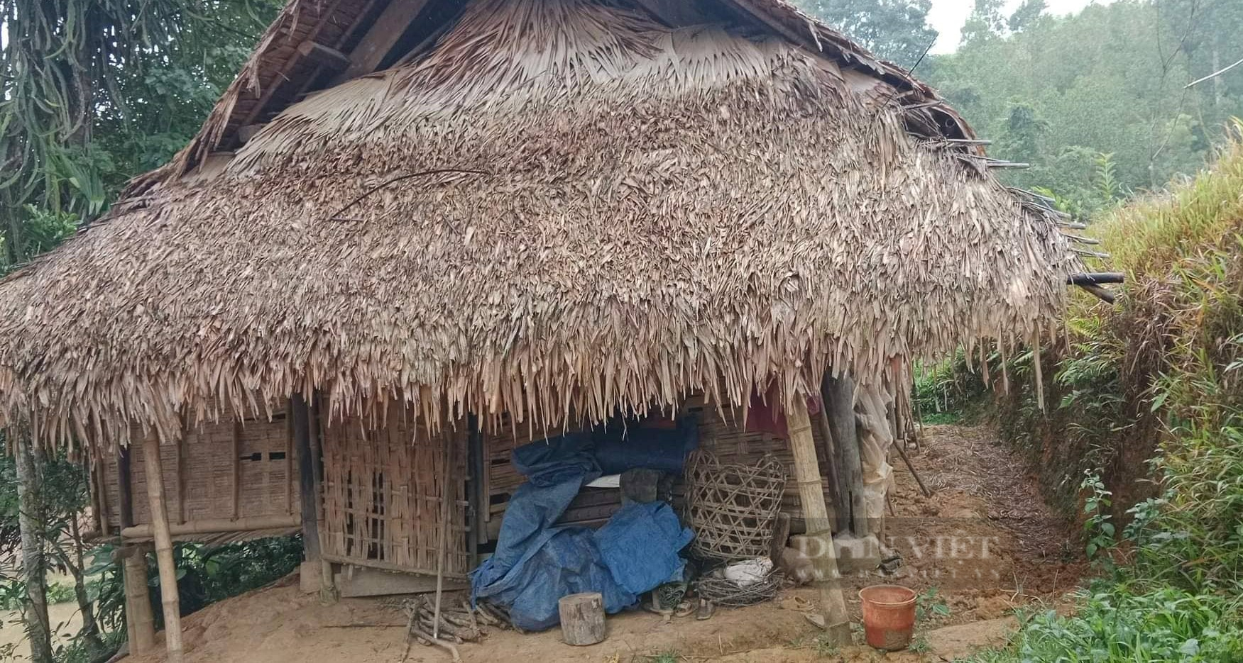 Người cha nghèo nhầm trứng cóc là trứng ếch vớt kho cho con ăn cơm, khiến 3 cha con ngộ độc nặng - Ảnh 2.