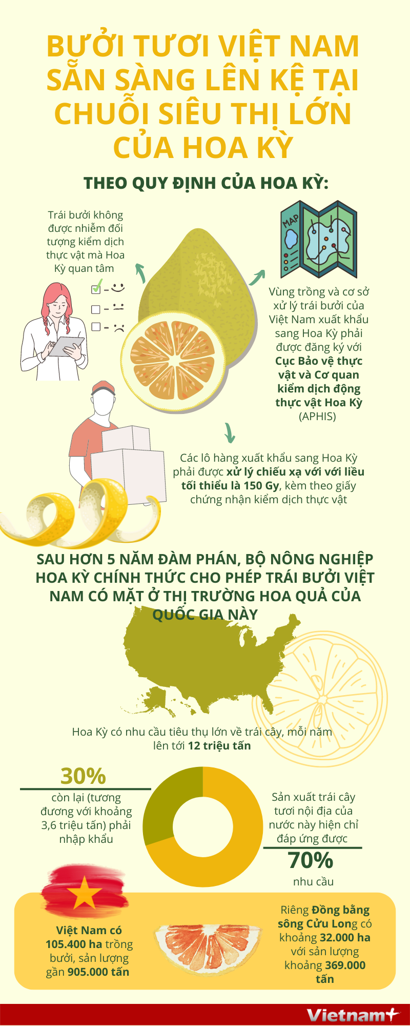 Bưởi tươi Việt Nam sẵn sàng lên kệ tại chuỗi siêu thị lớn của Hoa Kỳ - Ảnh 1.