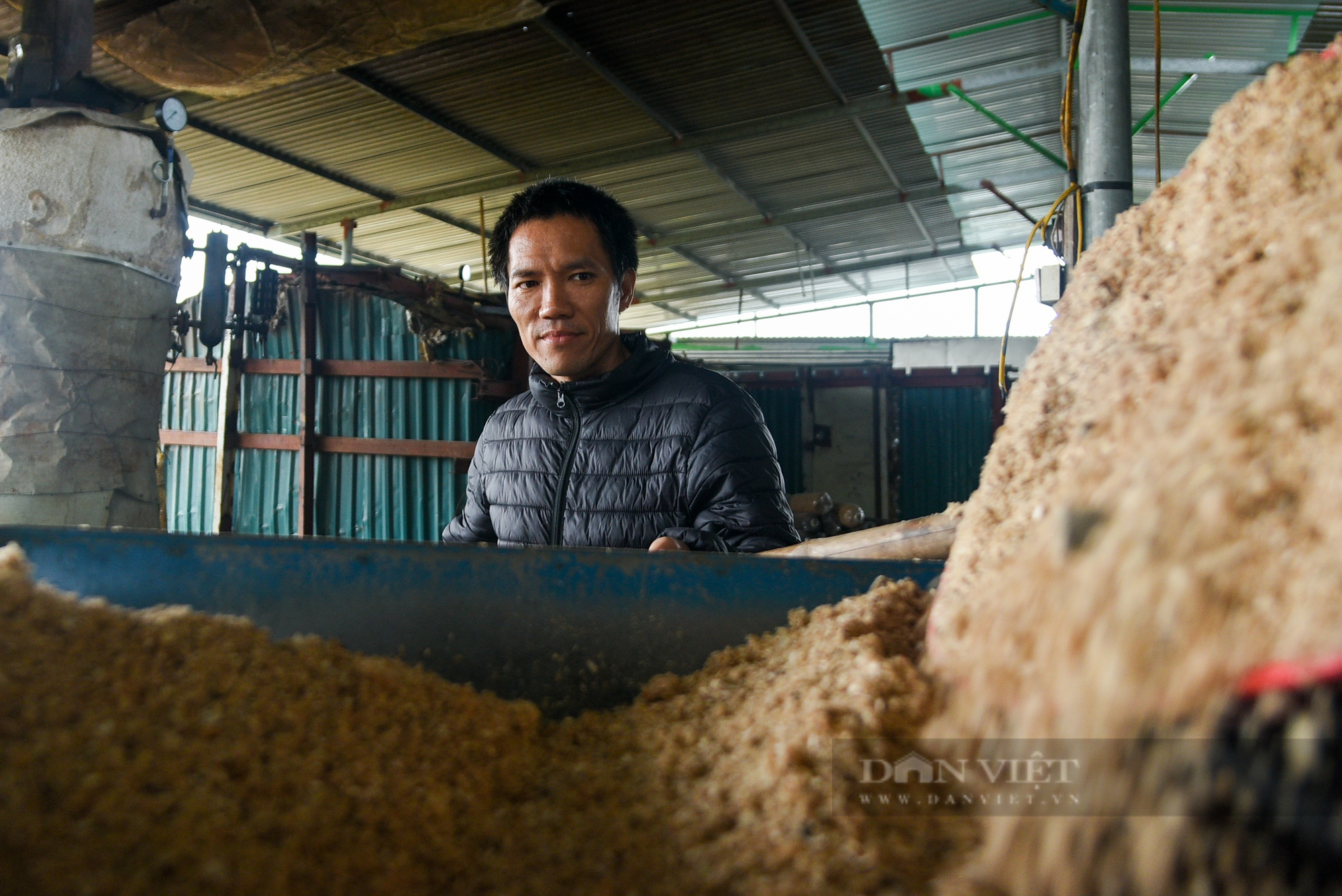 Người nông dân thu lợi nhuận hàng trăm triệu đồng mỗi năm nhờ trồng loại nấm đặc biệt - Ảnh 3.