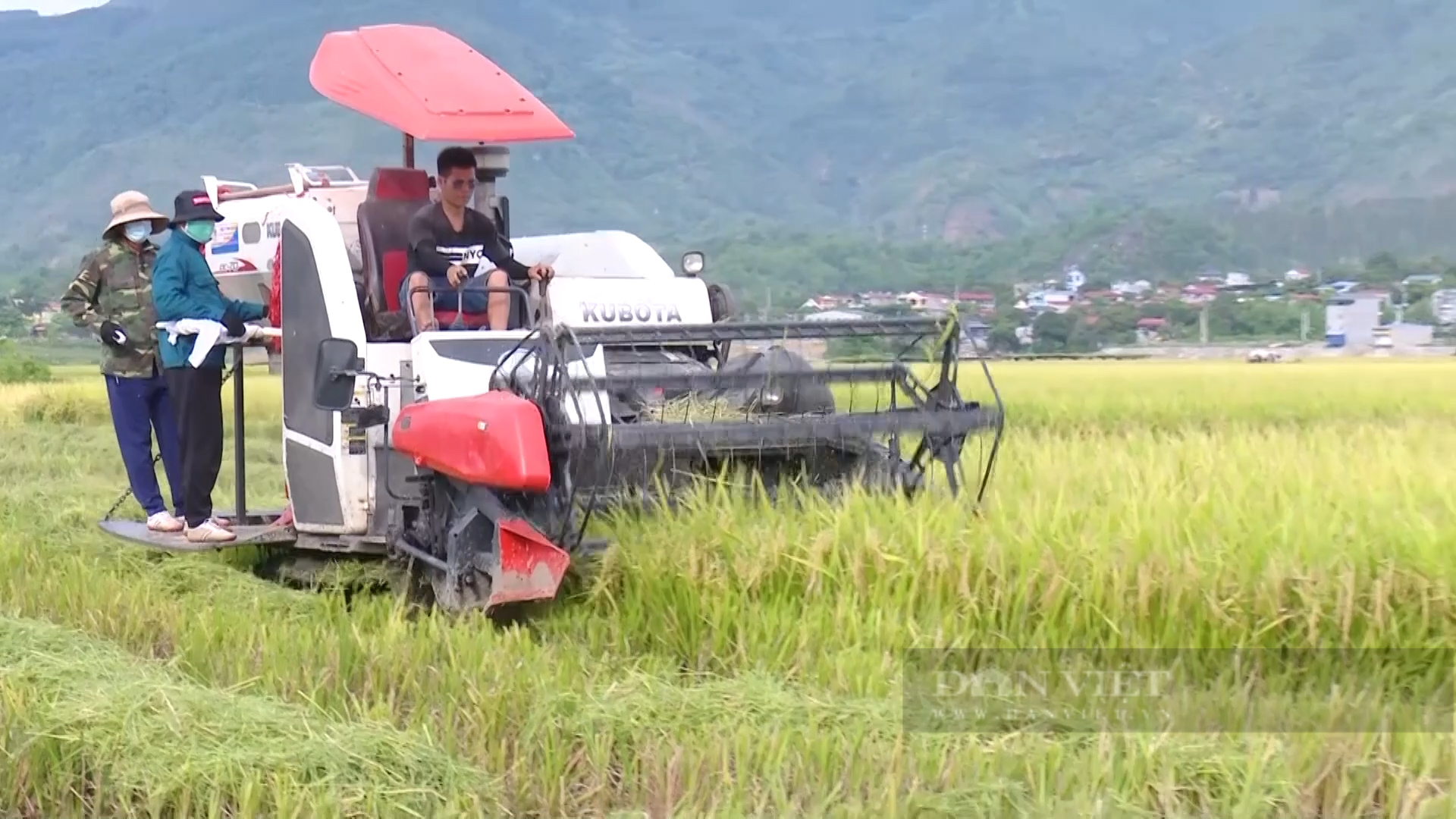 Vụ mùa no ấm trên cánh đồng Mường Tấc - Ảnh 9.