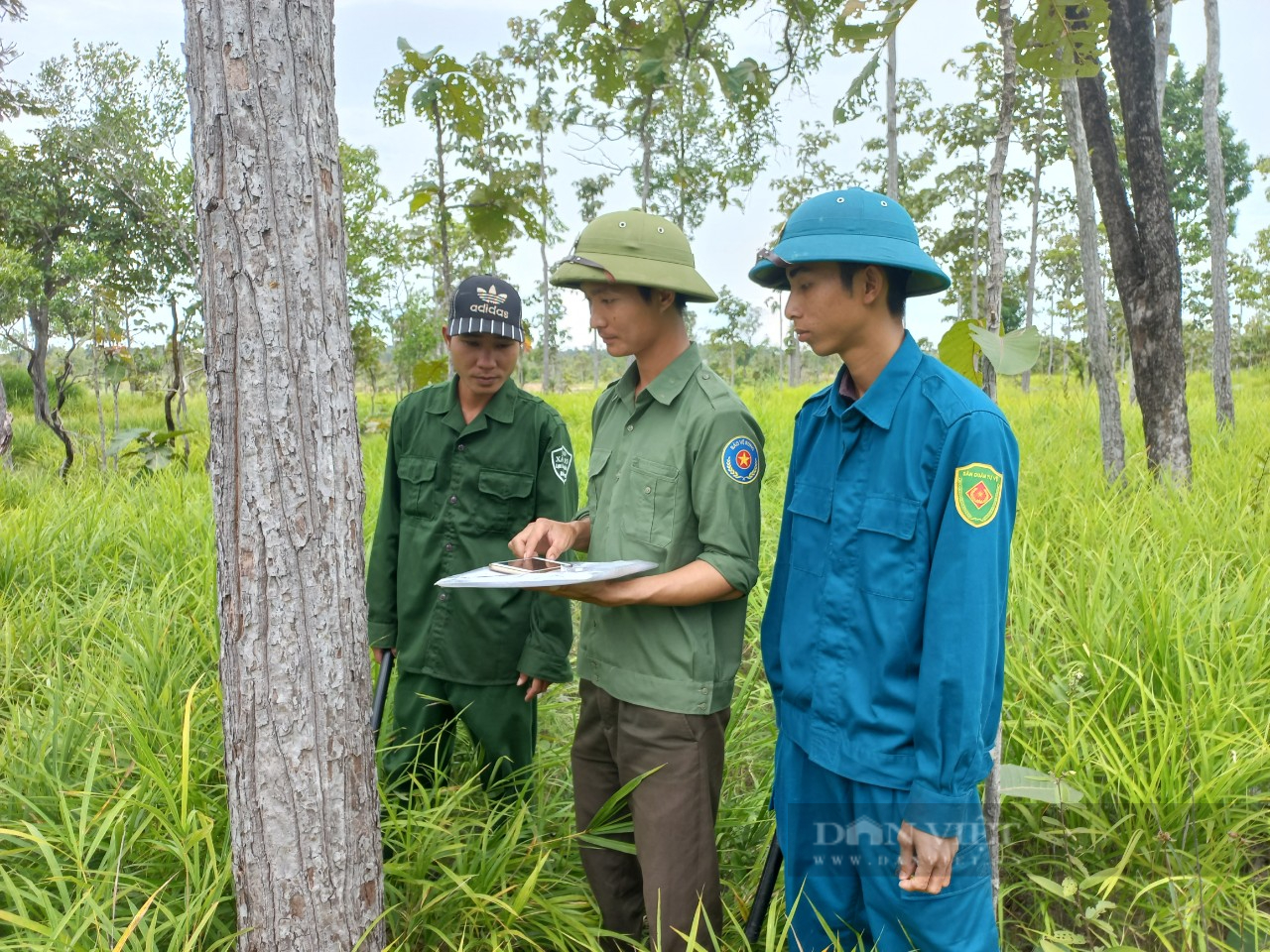 Lương thấp, áp lực cao, hàng trăm cán bộ Gia Lai xin nghỉ việc hơn 2 năm qua - Ảnh 1.