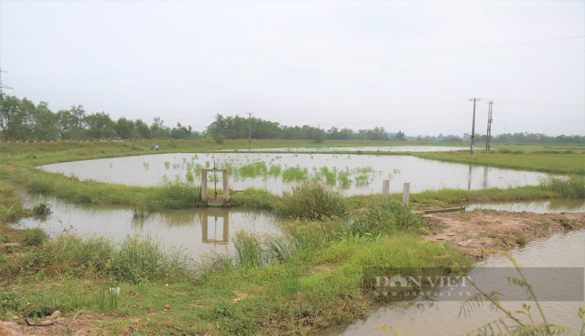 Xuân Lam ra quân cải tạo đồng ruộng thực hiện mô hình trồng lúa hữu cơ kết  hợp nuôi rươi cáy  Cổng thông tin điện tử huyện Nghi Xuân