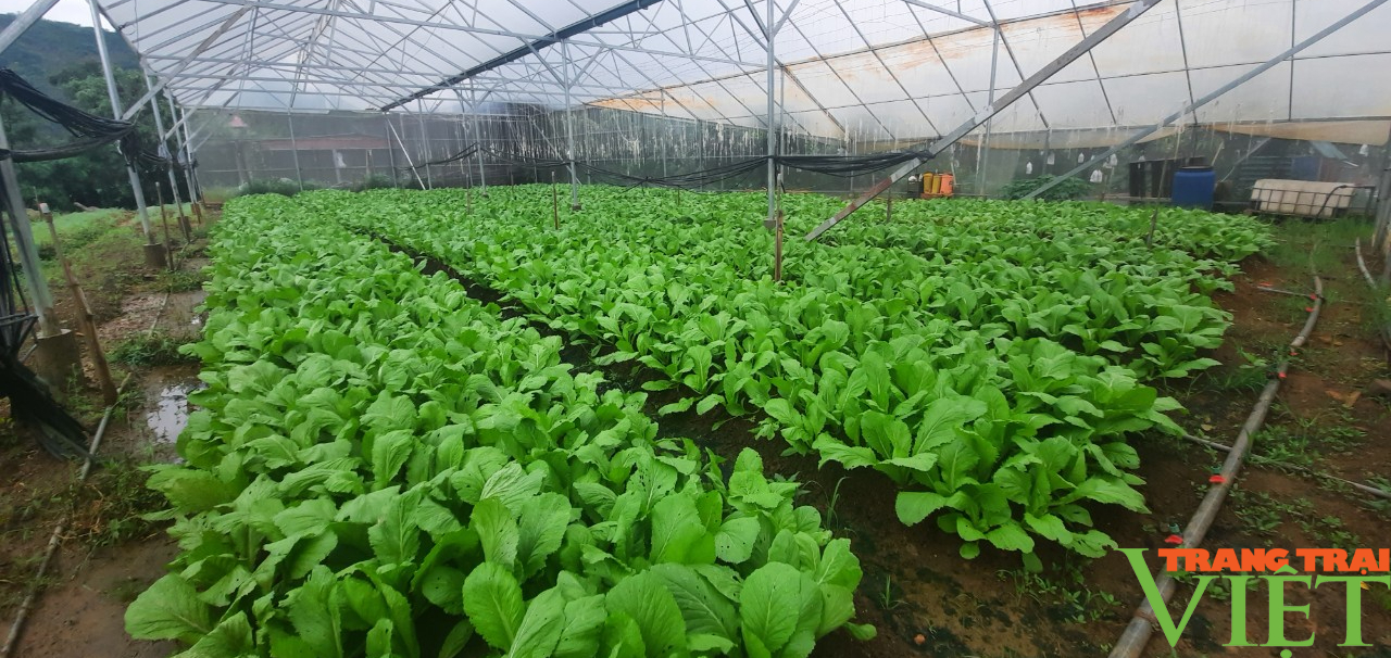 Sơn La: Sản phẩm nông nghiệp sạch, chất lượng cao xu hướng phát triển bền vững - Ảnh 10.