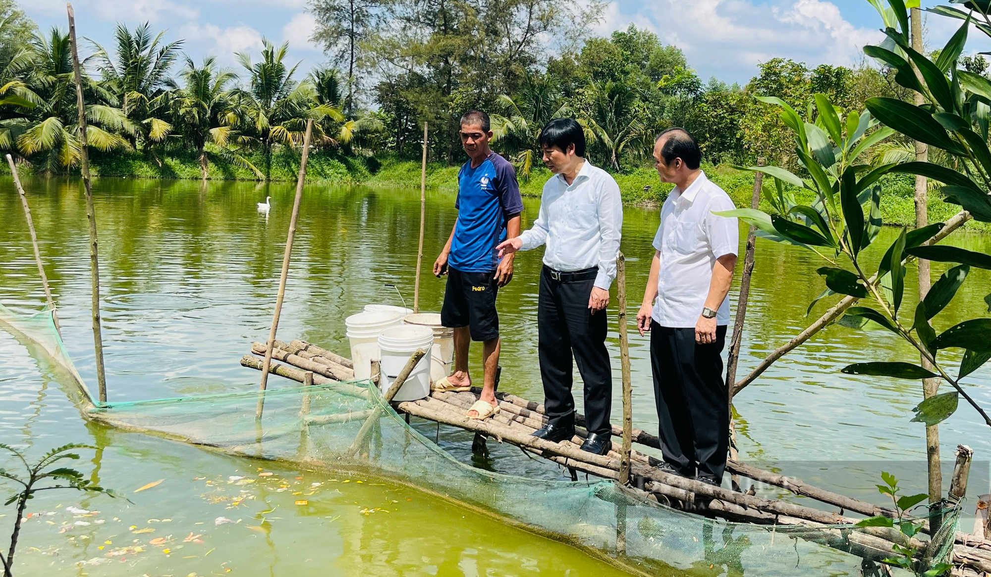 Đồng Nai: Nông dân ra sức làm giàu, mỗi năm kiếm tiền tỷ - Ảnh 4.