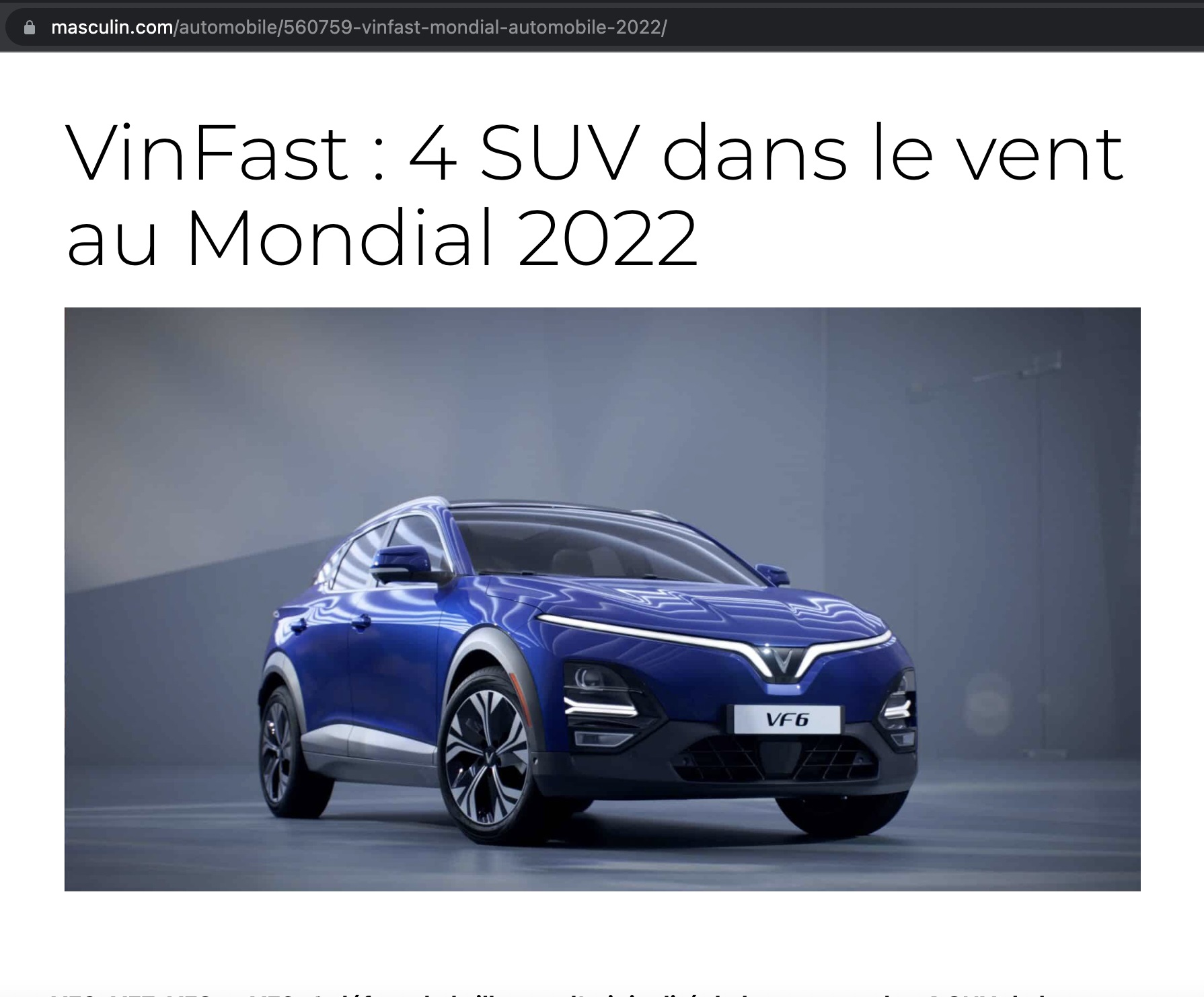 Báo Pháp: “Các đối thủ của VinFast nên cảm thấy lo lắng” - Ảnh 1.