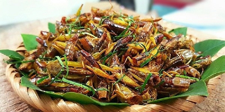 Đặc sản mỗi năm xuất hiện 2 lần ở đồng, bán 300.000 đồng/kg - Ảnh 8.