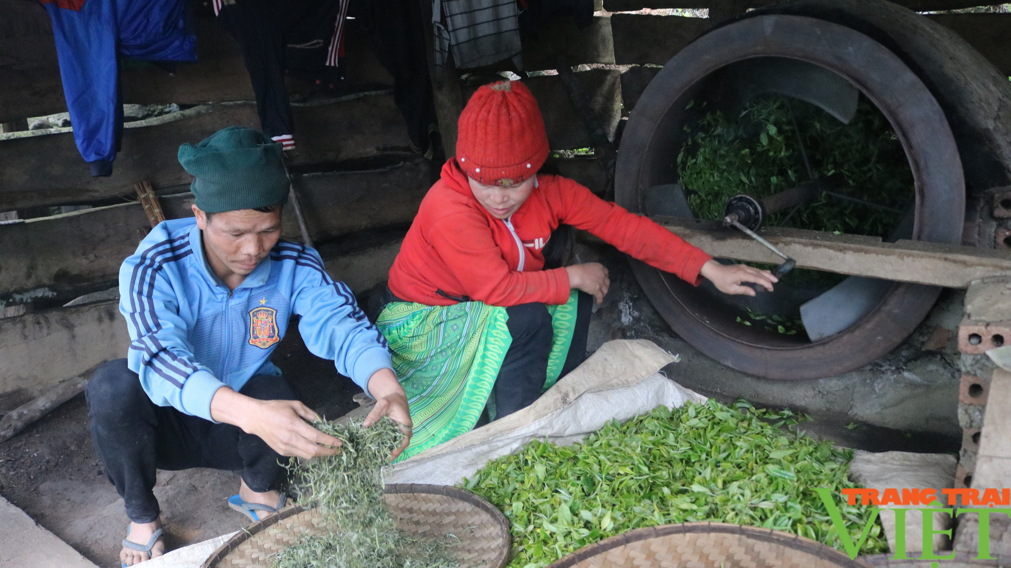 Nỗ lực xây dựng nông thôn mới ở huyện Vùng Cao Bắc Yên - Ảnh 4.