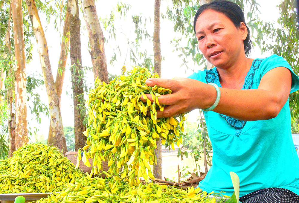 Đi chợ mùa nước nổi - Ảnh 3.