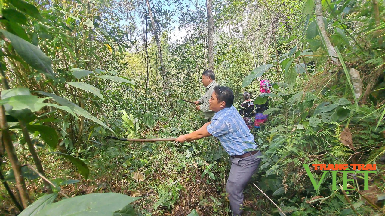 Hiệu quả từ chính sách chi trả dịch vụ môi trường rừng ở Nùng Nàng - Ảnh 3.