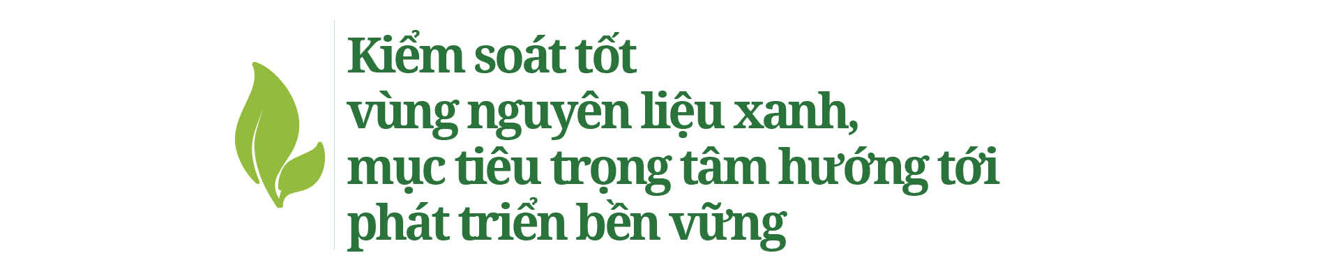 Hành trình từ cây gai xanh đến nhà cung cấp vải, sợi gai hàng đầu Việt Nam - Ảnh 2.