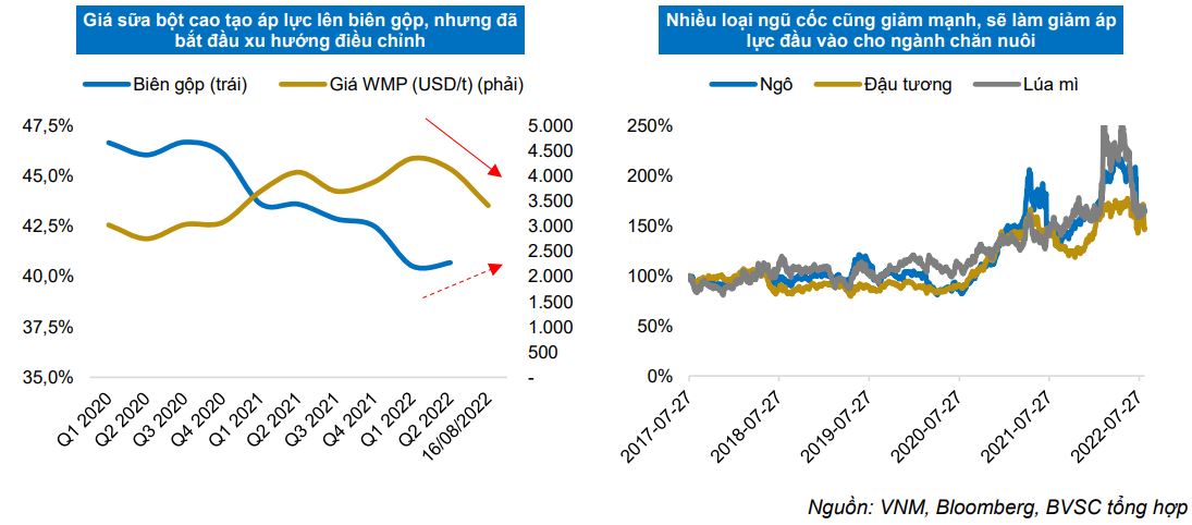 Tín hiệu tích cực ngày càng rõ, VINAMILK đón đà hồi phục trong cuối năm 2022 - đầu năm 2023? - Ảnh 4.