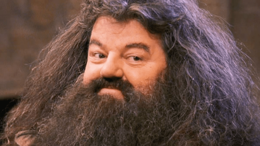 Hé lộ nguyên nhân cái chết của &quot;Bác Hagrid&quot; - Ảnh 1.