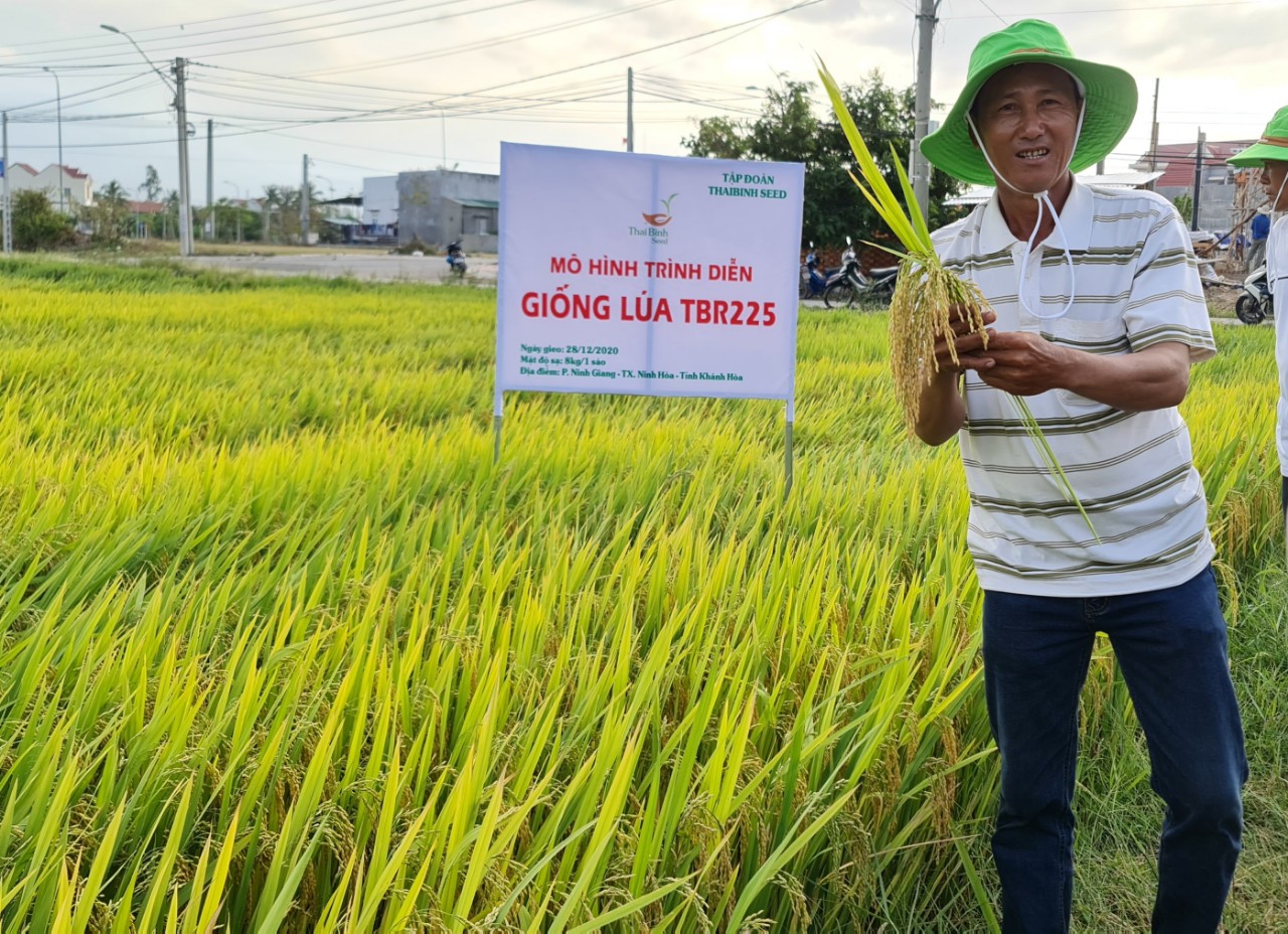 ThaiBinh Seed Miền Trung - Tây Nguyên: 15 năm sát cánh cùng nông dân cho những vụ mùa bội thu - Ảnh 7.