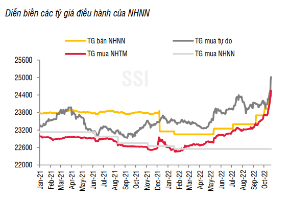 VND đã mất giá gần 9%, tâm lý gom giữ USD vẫn ở mức cao - Ảnh 1.