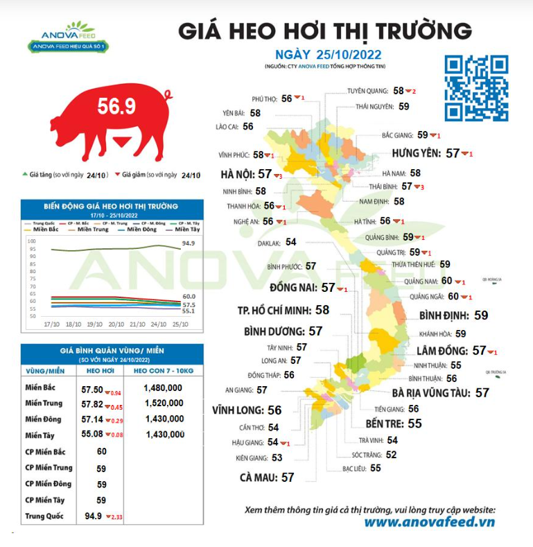 Giá lợn hơi tiếp tục trượt dốc mạnh, nhiều thị trường mất đầu giá số 6 - Ảnh 1.