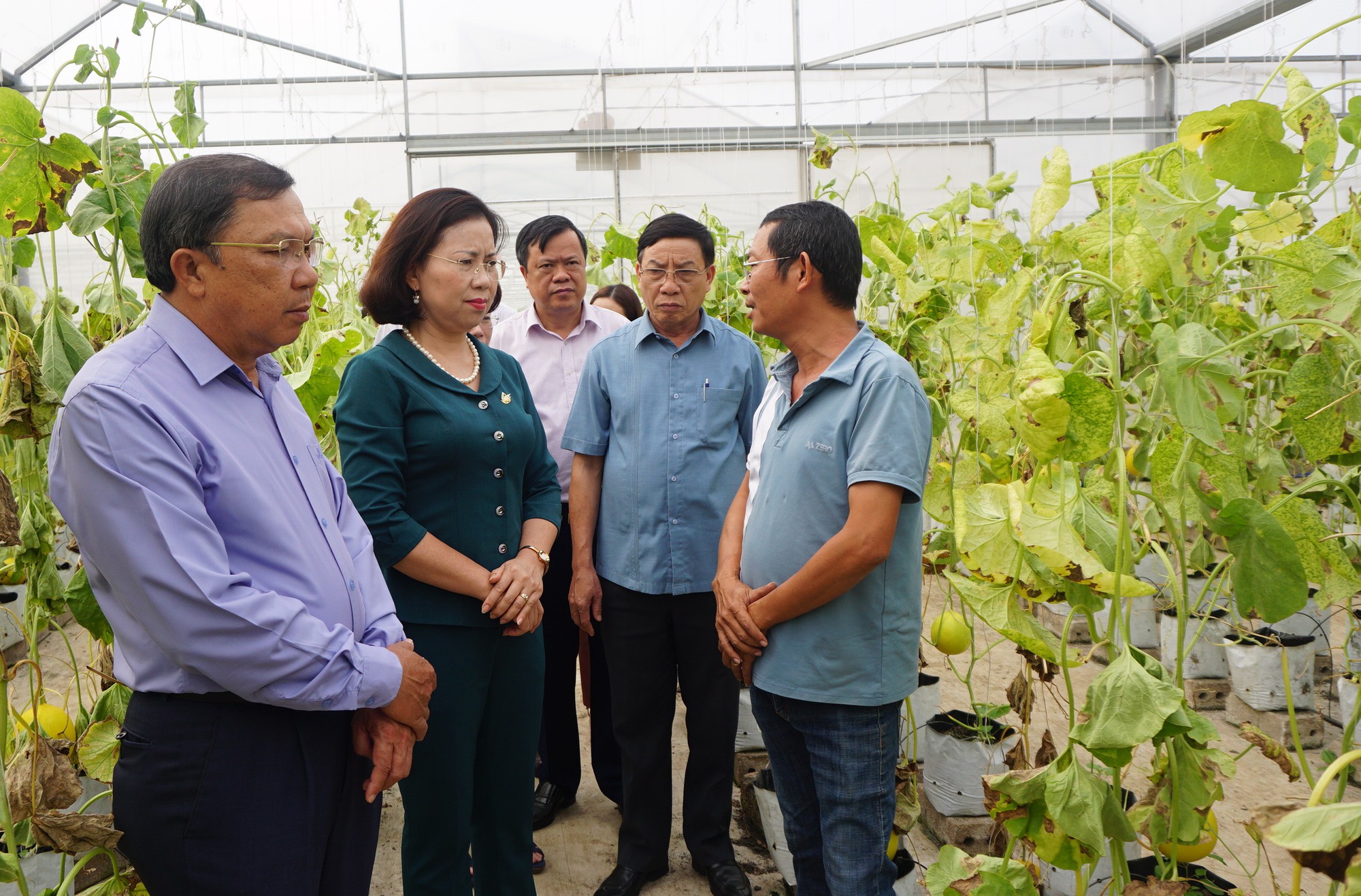 Nông dân Hà Nội thay đổi tư duy, trở thành những nông dân chuyên nghiệp, sản xuất theo tín hiệu thị trường - Ảnh 3.