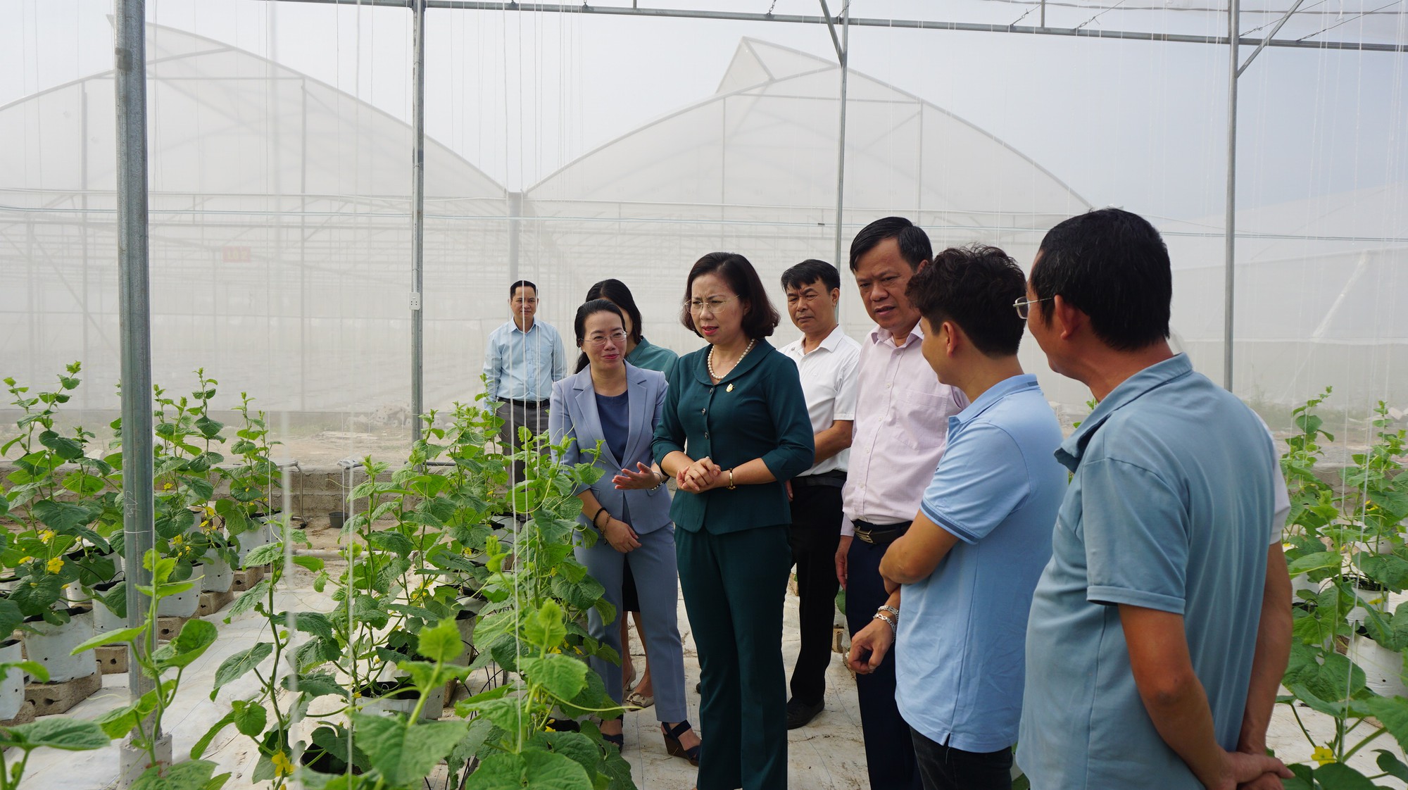 Phó Chủ tịch Hội Nông dân Việt Nam Bùi Thị Thơm làm việc với Hội Nông dân TP Hà Nội - Ảnh 2.