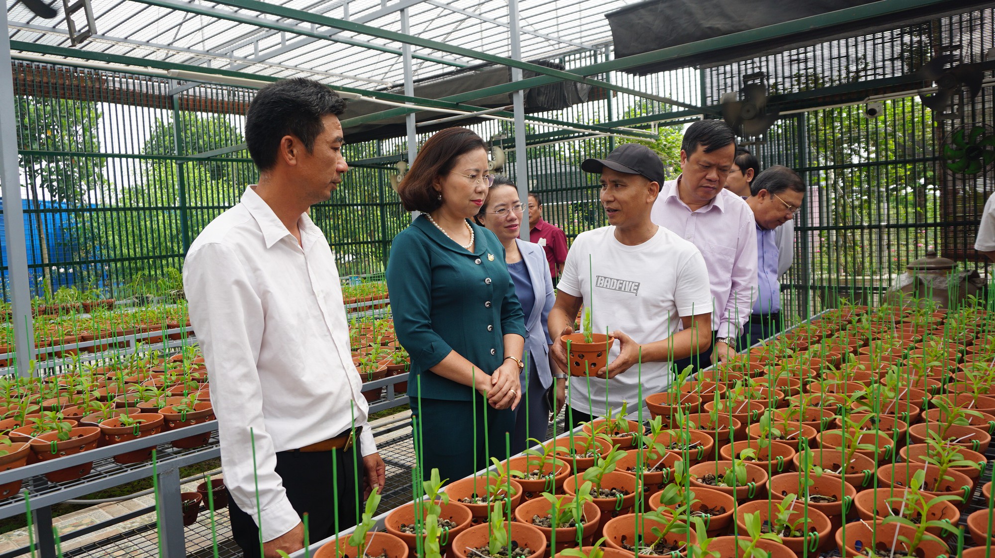 Nông dân Hà Nội thay đổi tư duy, trở thành những nông dân chuyên nghiệp, sản xuất theo tín hiệu thị trường - Ảnh 5.