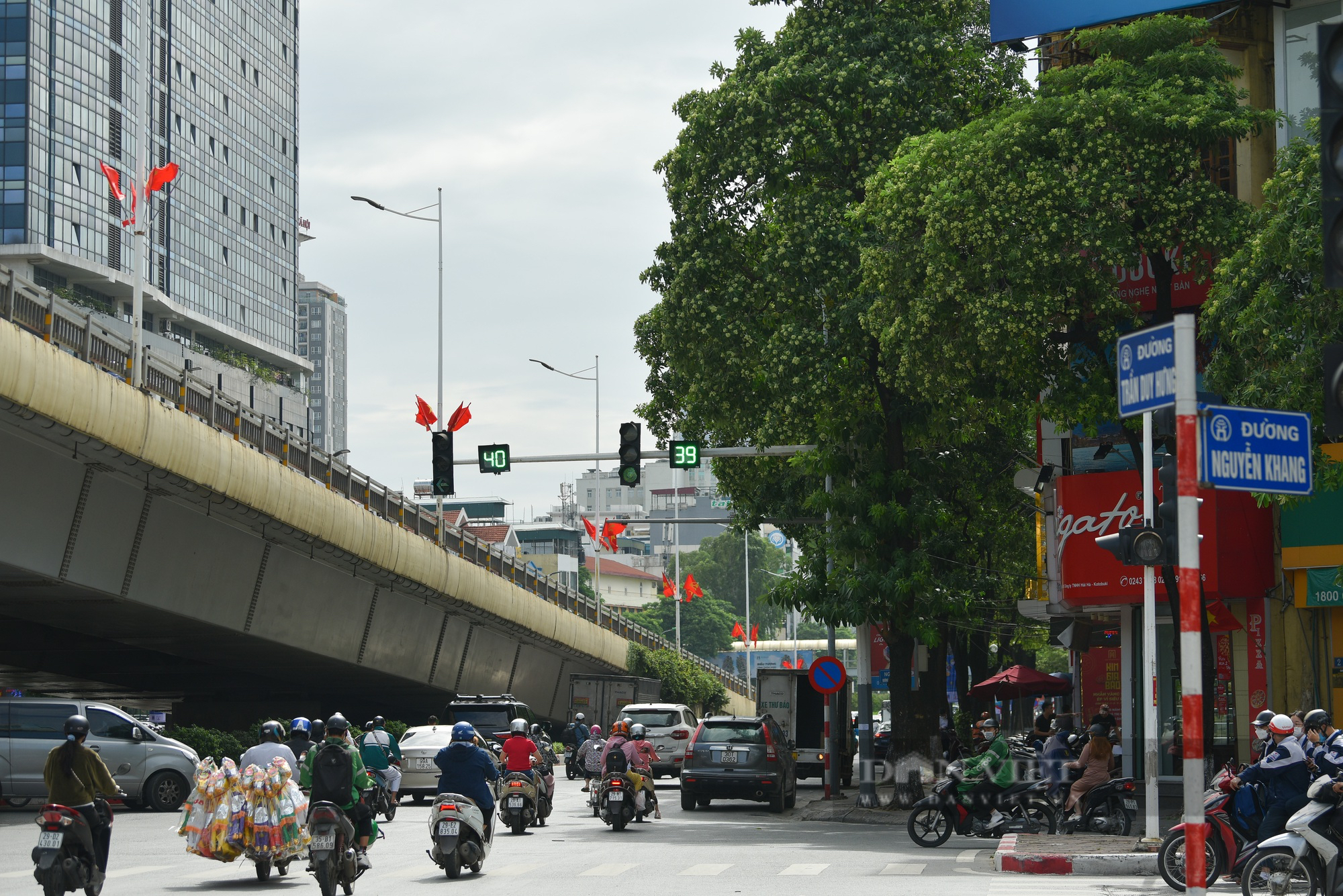 Hoa sữa tỏa hương nồng nàn dưới trời thu Hà Nội - Ảnh 1.