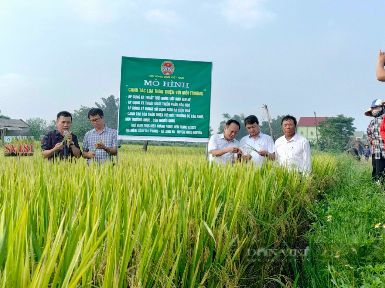 Sản xuất lúa sạch vừa giảm chi phí lại tăng năng suất, nông dân Nghệ An phấn khởi nhân rộng mô hình - Ảnh 3.