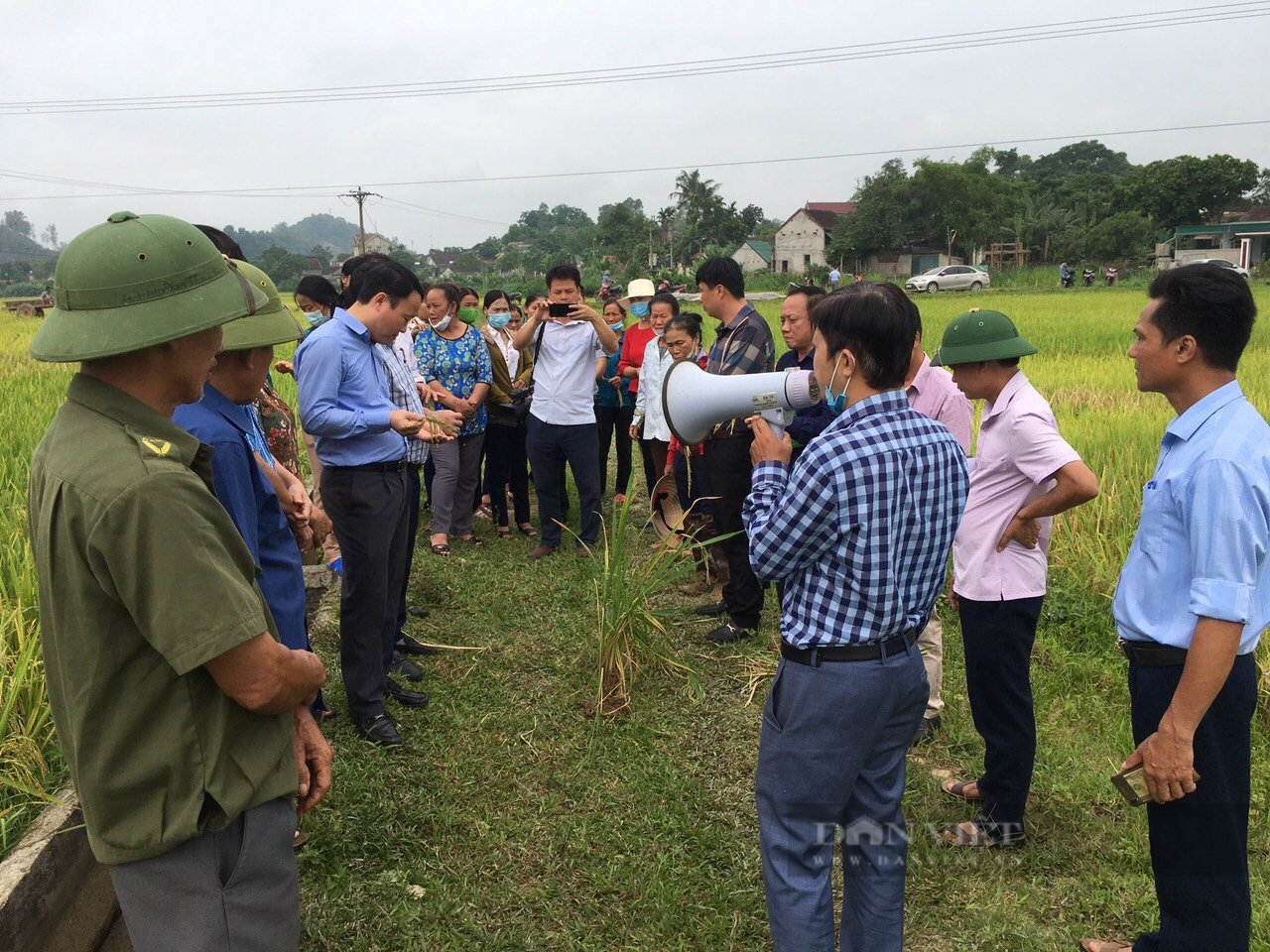 Sản xuất lúa sạch vừa giảm chi phí lại tăng năng suất, nông dân Nghệ An phấn khởi nhân rộng mô hình - Ảnh 2.