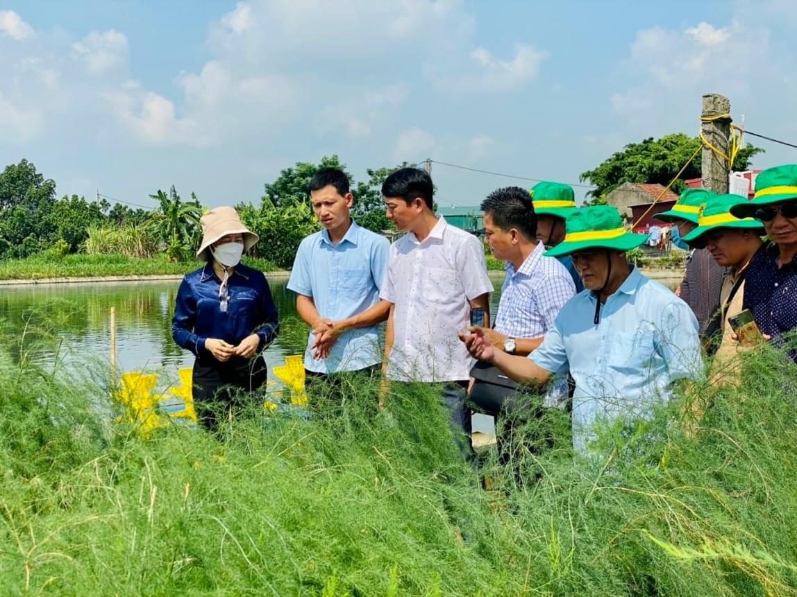 Tỷ phú trồng &quot;rau vua&quot; ở Bắc Ninh là chi hội trưởng chi hội nghề nghiệp, tạo việc làm, thu nhập cao cho nông dân - Ảnh 1.
