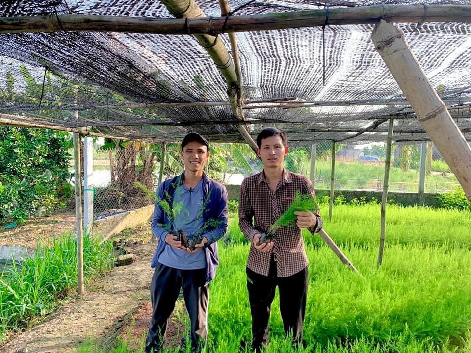 Tỷ phú trồng &quot;rau vua&quot; ở Bắc Ninh là chi hội trưởng chi hội nghề nghiệp, tạo việc làm, thu nhập cao cho nông dân - Ảnh 3.